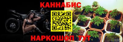 Альфа ПВП Будённовск