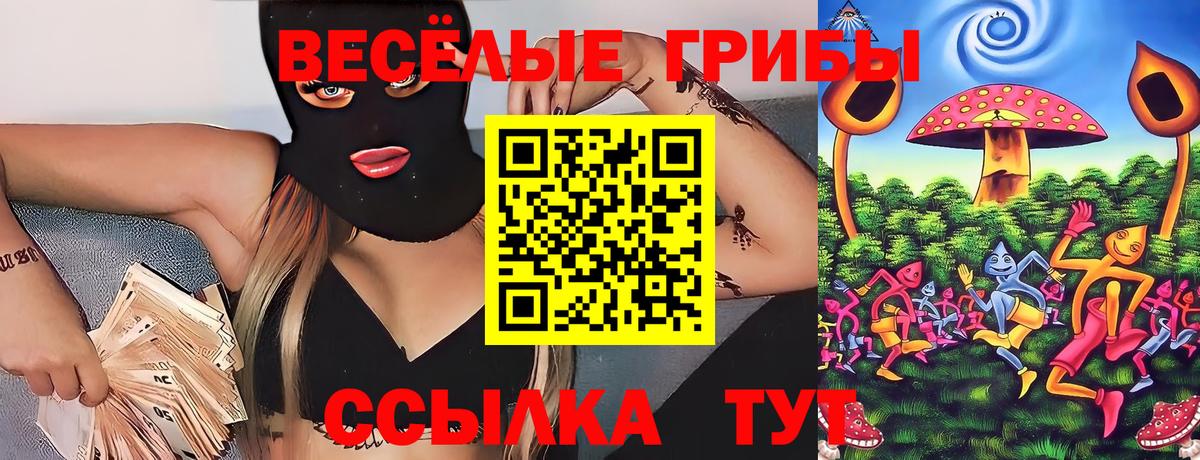 Псилоцибиновые грибы ЛСД Северобайкальск