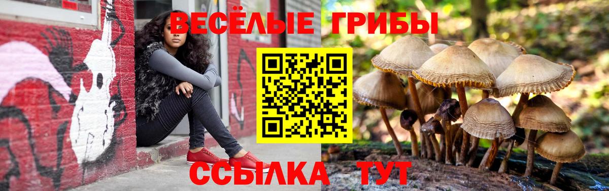 Северобайкальск  Галлюциногенные грибы Psilocybine cubensis  Вход с VPN 